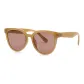 Tea Brown Frame with Tea Brown Lens