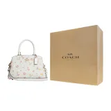 Bag+Dust Bag+Yellow Box