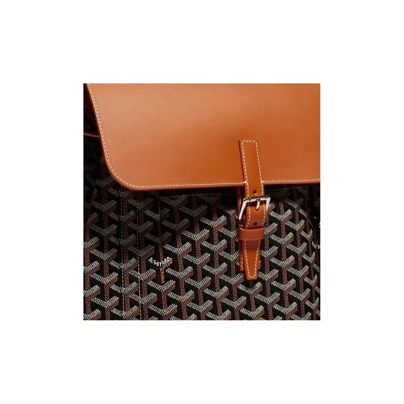 GOYARD Alpin Canvas With Leather Backpack Medium Size Unisex Brown-5