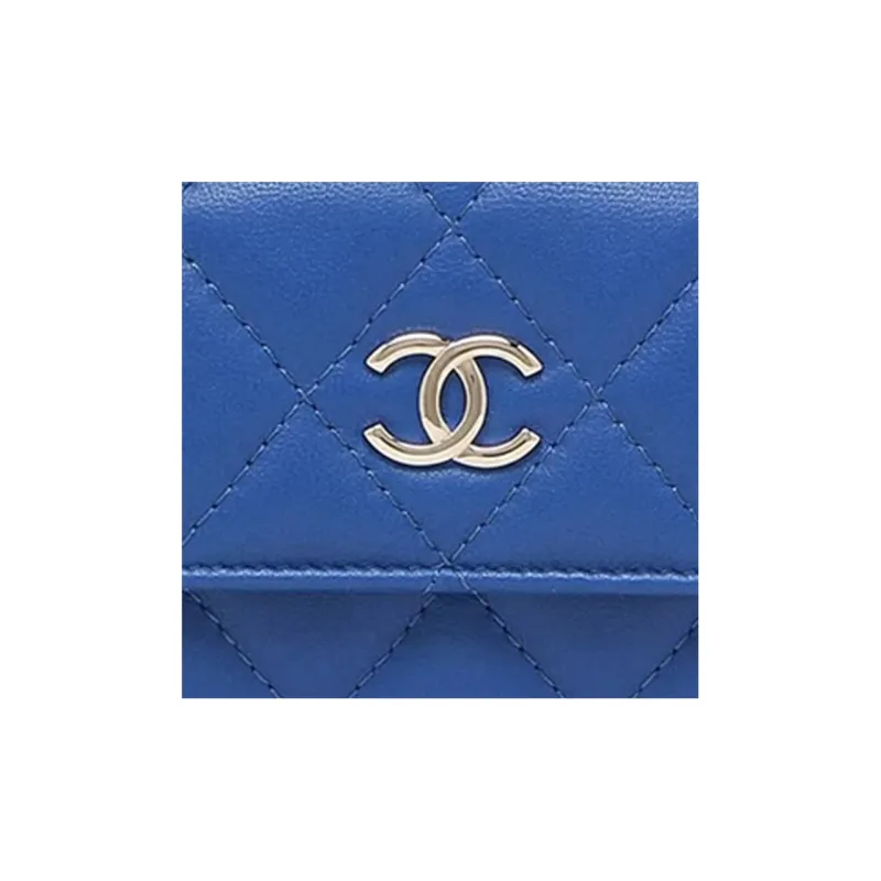 CHANEL Wallets-5