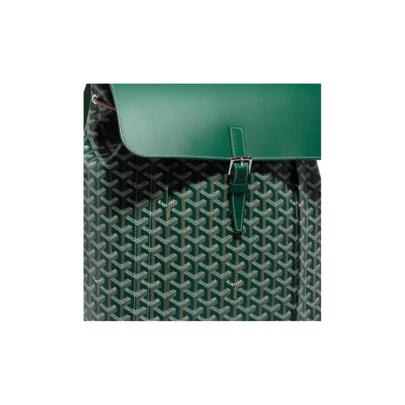 GOYARD Alpin Canvas With Leather Backpack Medium Size Unisex Green-5