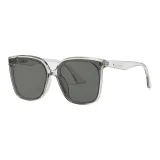 Transparent Gray Frame with Black Gray Lens