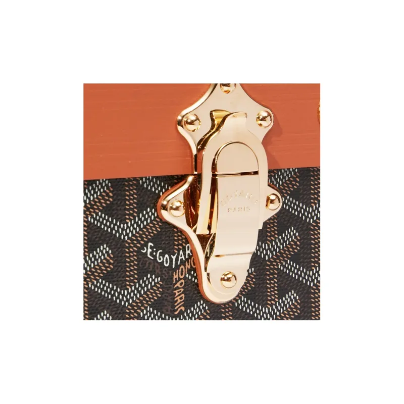 GOYARD Grand Hôtel Canvas With Leather Hard Case Handbag Unisex Brown-5