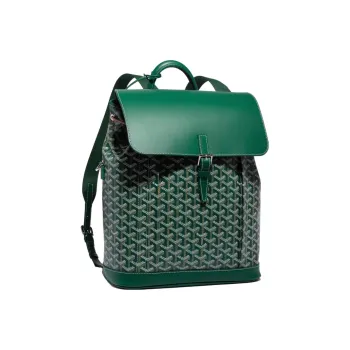 GOYARD Alpin Canvas With Leather Backpack Medium Size Unisex Green