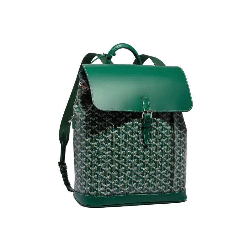 GOYARD Alpin Canvas With Leather Backpack Medium Size Unisex Green-0