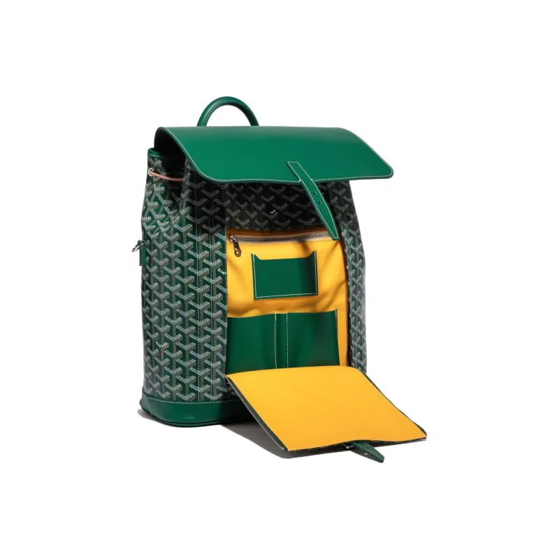 GOYARD Alpin Canvas With Leather Backpack Medium Size Unisex Green-4