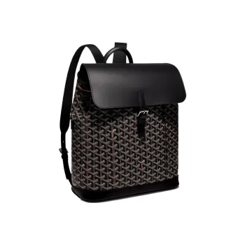 GOYARD Alpin Canvas With Leather Backpack Medium Size Unisex Black