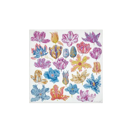 HERMES Silk Scarves Women's Multicolor