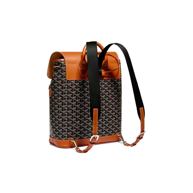 GOYARD Alpin Canvas With Leather Backpack Medium Size Unisex Brown-1