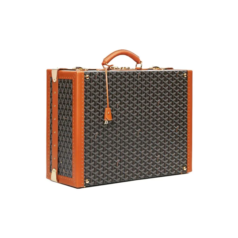 GOYARD Grand Hôtel Canvas With Leather Hard Case Handbag Unisex Brown-1