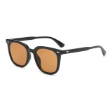 Black Frame with Tea Brown Lens