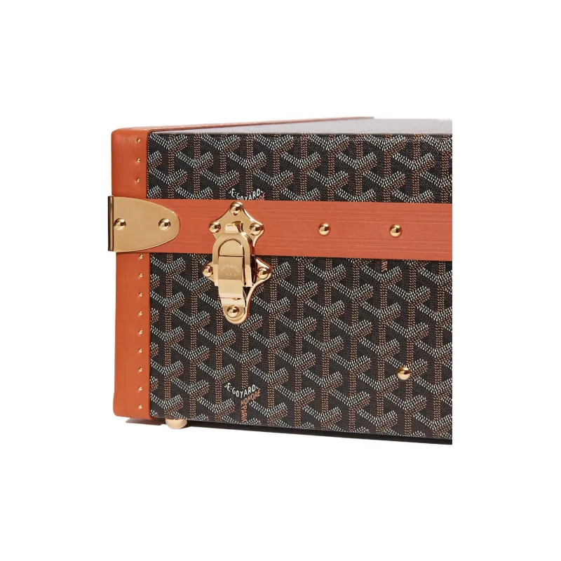 GOYARD Grand Hôtel Canvas With Leather Hard Case Handbag Unisex Brown-4