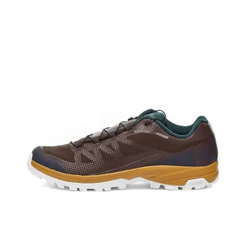 SALOMON Outpath Gtx X And Wander 'Brown'