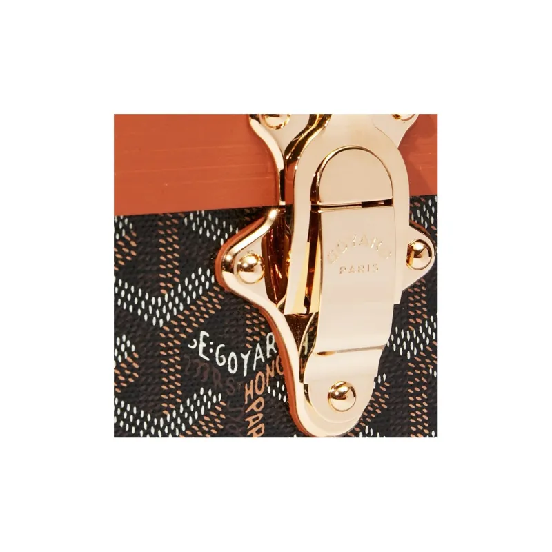 GOYARD Grand Hôtel Canvas With Leather Hard Case Handbag Unisex Brown-5