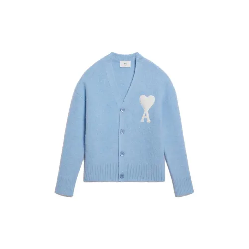 AMIPARIS Sweaters Unisex Sky Blue