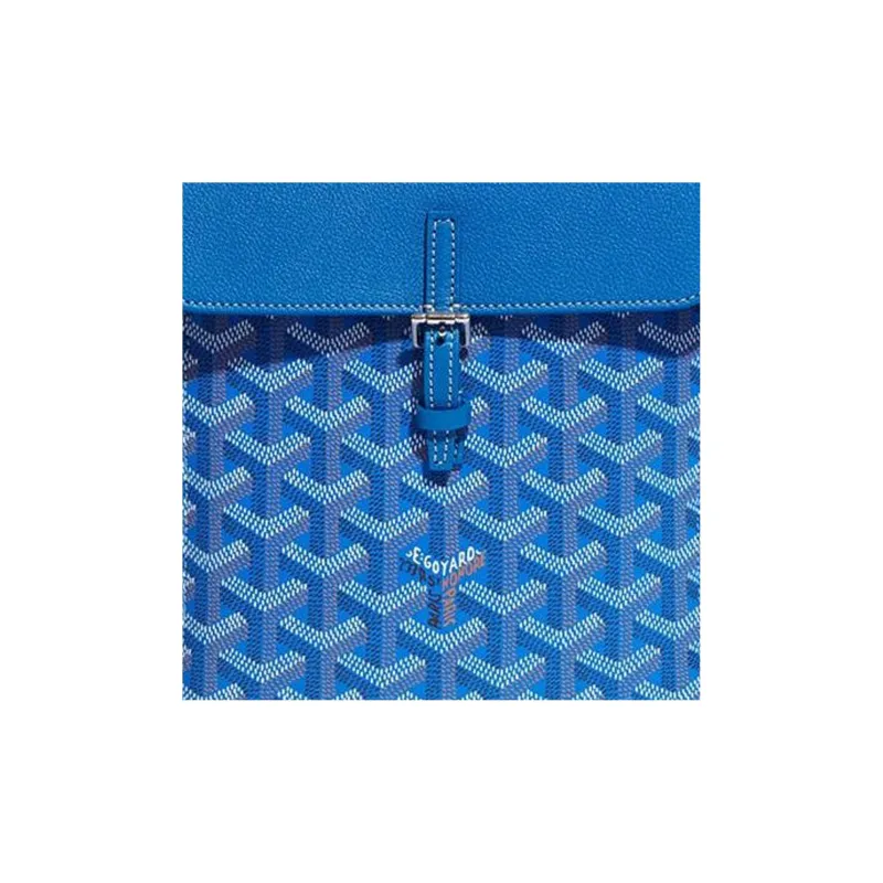 GOYARD Alpin Canvas With Leather Backpack Mini Unisex Blue-5