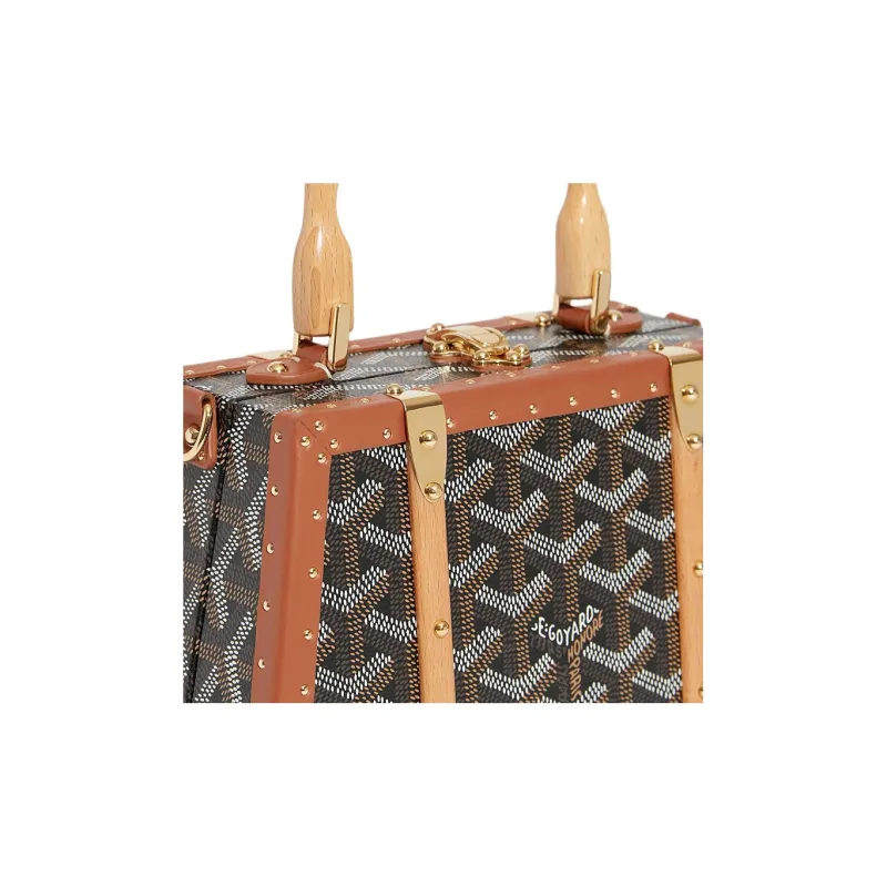 GOYARD Saigon Canvas With Calfskin Hard Case Handbag Mini Unisex Brown-3