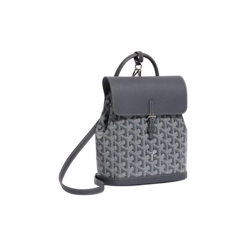 GOYARD Alpin Canvas With Leather Backpack Mini Unisex Gray-1