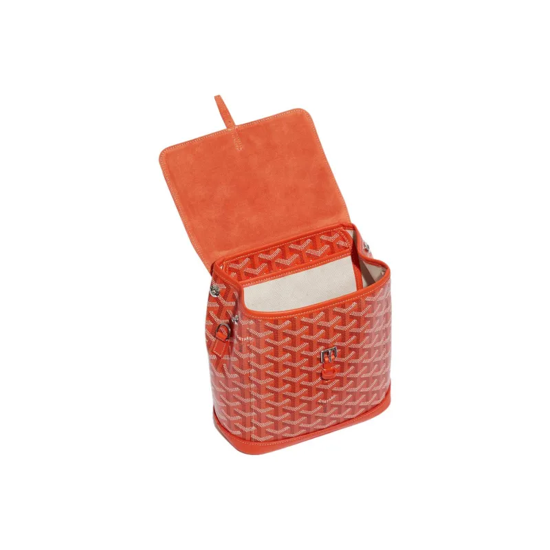 GOYARD Alpin Canvas With Leather Backpack Mini Unisex Orange-4