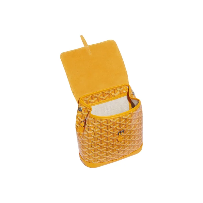 GOYARD Alpin Canvas With Leather Backpack Mini Unisex Yellow-4