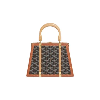 GOYARD Saigon Canvas With Calfskin Hard Case Handbag Mini Unisex Brown