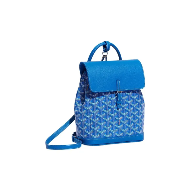 GOYARD Alpin Canvas With Leather Backpack Mini Unisex Blue-1