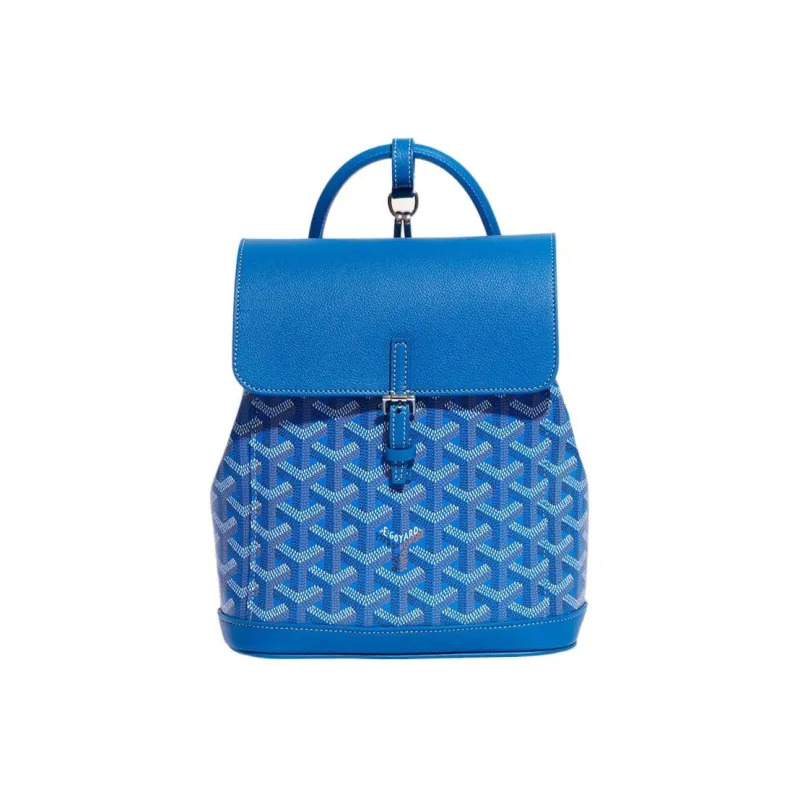 GOYARD Alpin Canvas With Leather Backpack Mini Unisex Blue-0