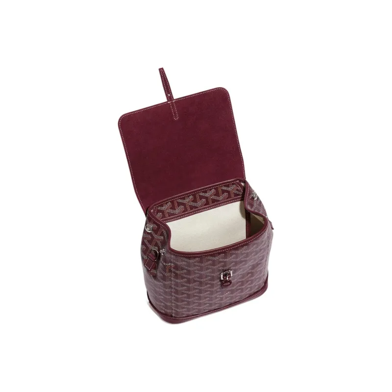 GOYARD Alpin Canvas With Leather Backpack Mini Unisex Burgundy-4