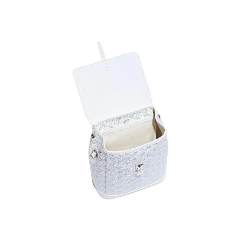 GOYARD Alpin Canvas With Leather Backpack Mini Unisex White-4