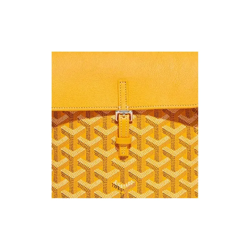 GOYARD Alpin Canvas With Leather Backpack Mini Unisex Yellow-5