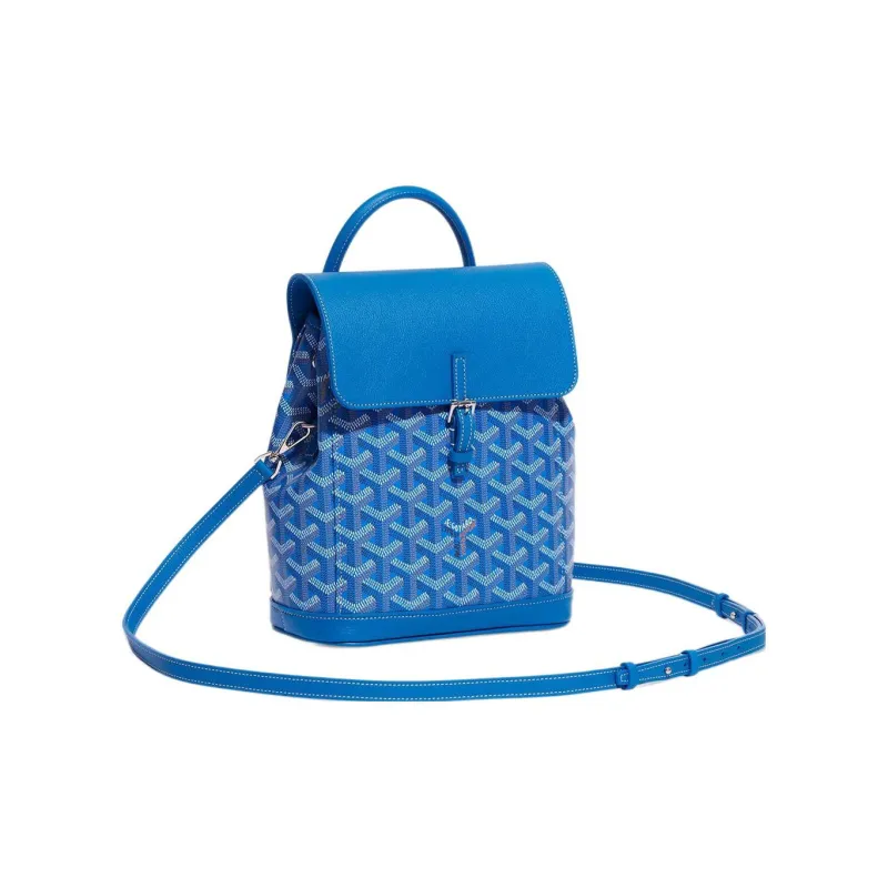 GOYARD Alpin Canvas With Leather Backpack Mini Unisex Blue-2