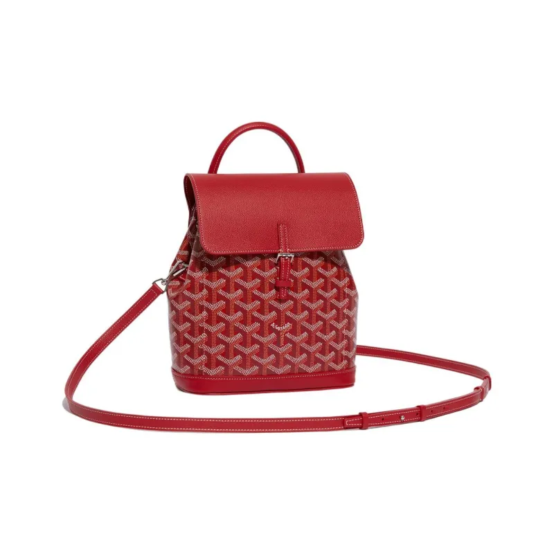 GOYARD Alpin Backpacks-2