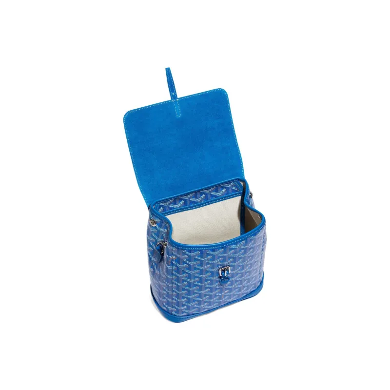 GOYARD Alpin Canvas With Leather Backpack Mini Unisex Blue-3