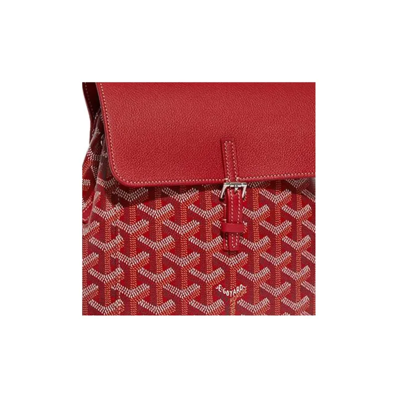 GOYARD Alpin Backpacks-5