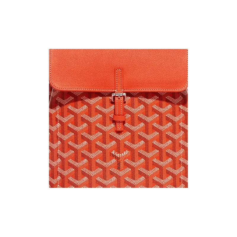 GOYARD Alpin Canvas With Leather Backpack Mini Unisex Orange-5