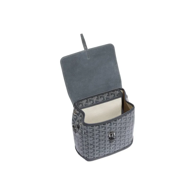 GOYARD Alpin Canvas With Leather Backpack Mini Unisex Gray-3