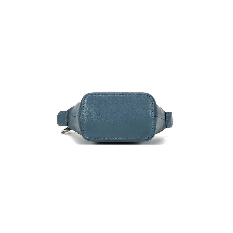 LONGCHAMP Le Pliage Cuir Sheepskin Crossbody Bag, Dumpling Bag, One Shoulder Handbag Mini Women's Nordic Colors-4