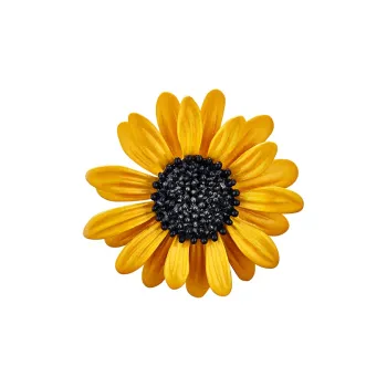 JAY Brooches Women's