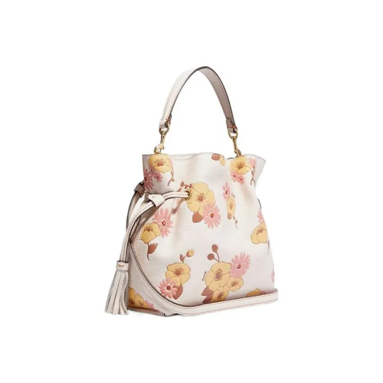 COACH Andy Cow Leather Drawstring Bag Crossbody Bag Medium Size Women's Chalk White-1