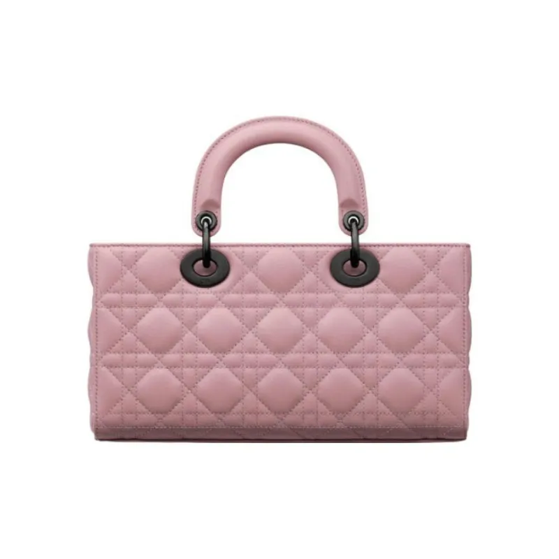 DIOR Lady D Joy Handbags-2