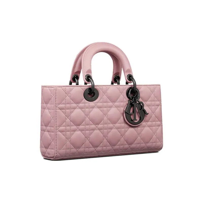 DIOR Lady D Joy Handbags-1