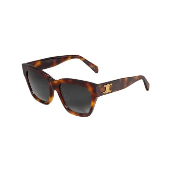 CELINE Triomphe 09 Sunglasses In Acetate