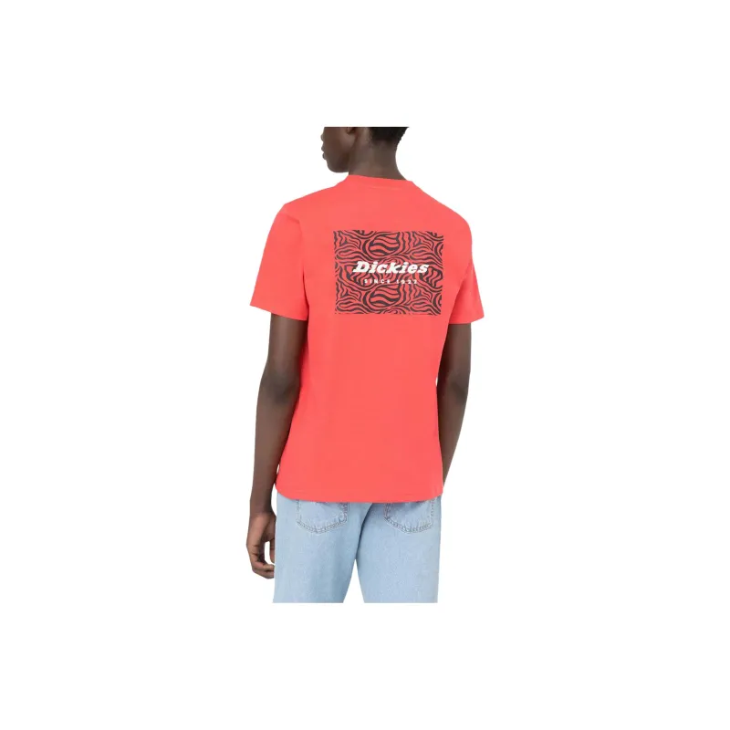 Dickies T-Shirts Men Orange-1