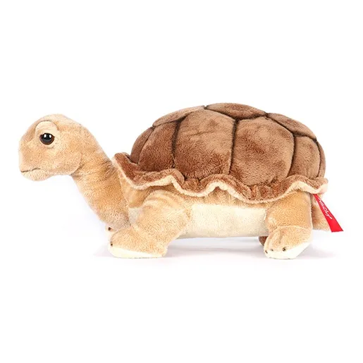 Hamleys Tortoise Dolls Plush Doll 25cm High-2