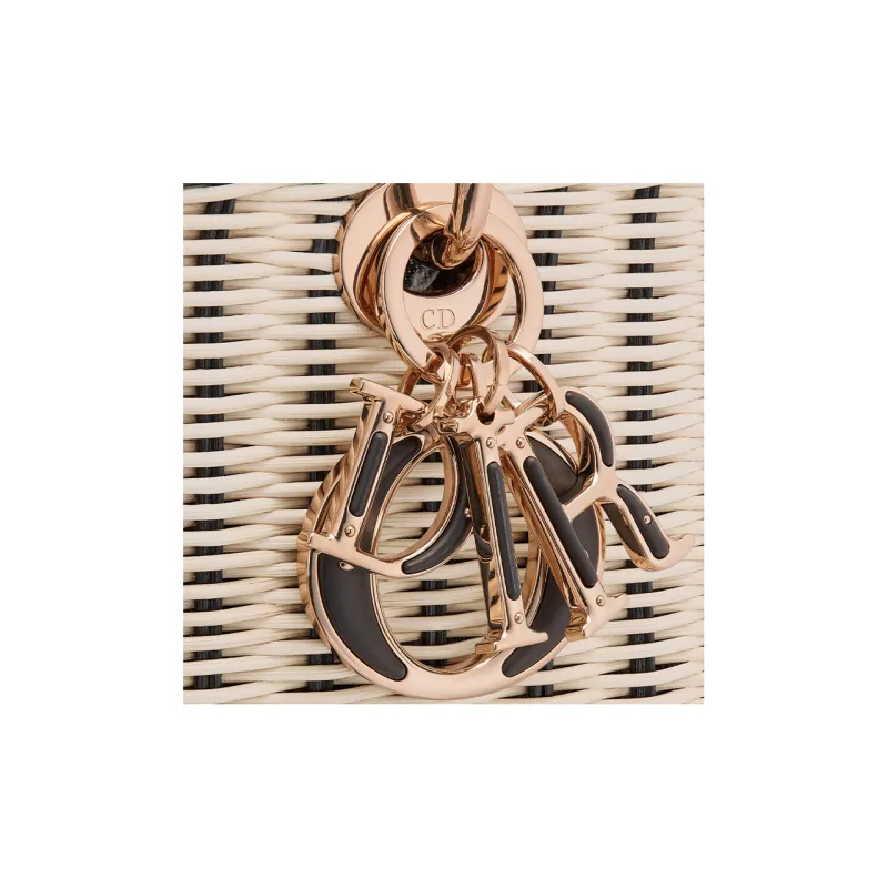 DIOR Lady D Joy Handbags-6