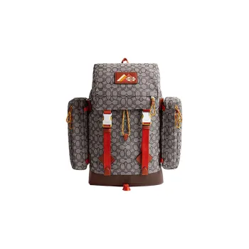 COACH Utility Fabric With Calfskin Travel Bag Backpack Tubas Men's Gray