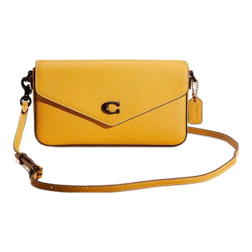 COACH Wyn Crossbody Bags