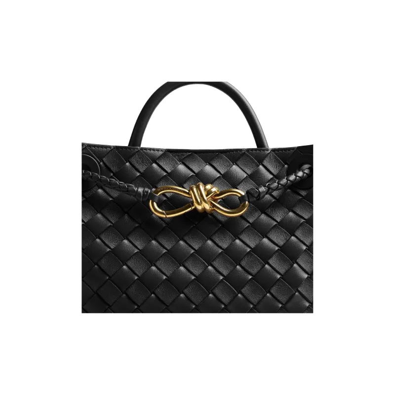 Bottega Veneta Small Andiamo Black-4