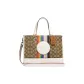 Bag+Dust Bag
