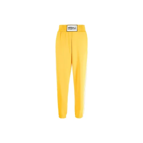 Adidas Originals Knitted Sweatpants Women's Goldfinch Yellow